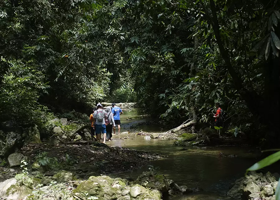 Phiêu Lưu Xanh Mát: Tour Hiking Pù Luông – Thác Hiêu & Thác Mu Cùng Travel Up!