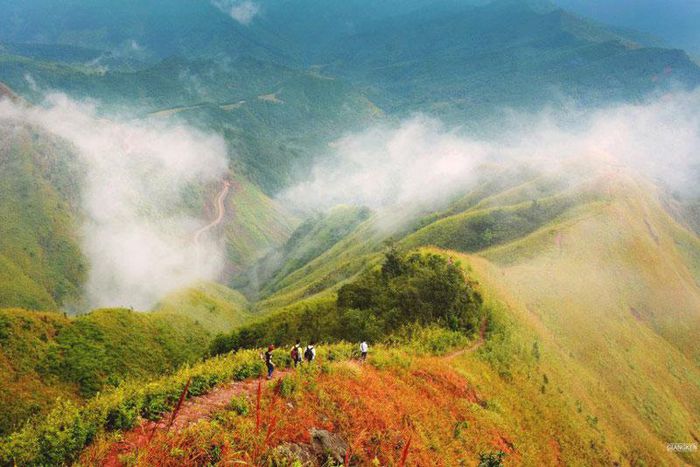 co-binh-lieu-dep-trang-ca-vung-troi-mua-thu-vung-bien-vien-wetrek