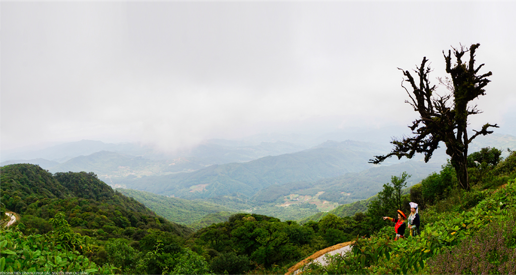 Hệ sinh vật đa dạng