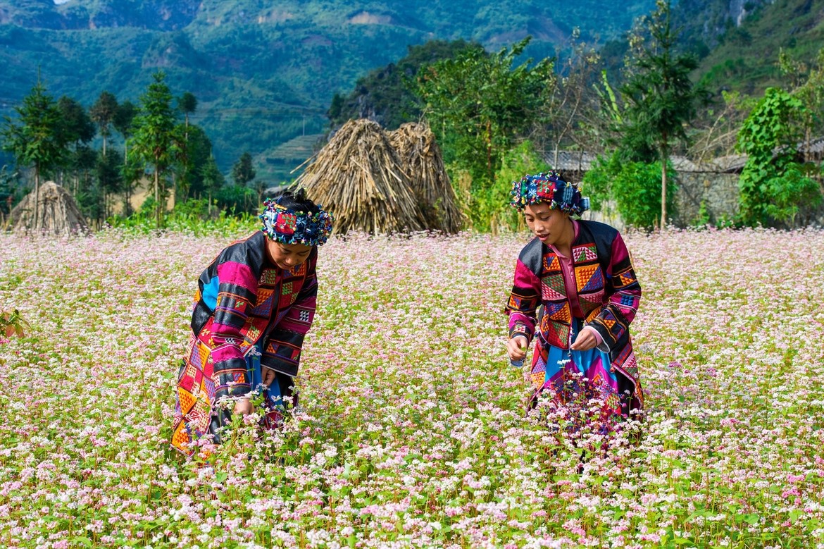 hôn Suối Thầu được biết đến là thảo nguyên hoa đẹp bậc nhất Tây Bắc