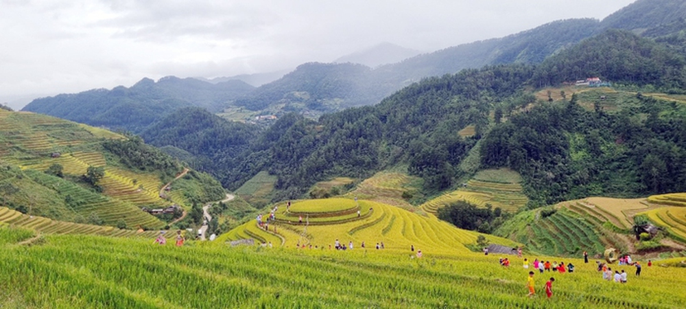 Yên Bái: Những nẻo đường thơm nức - Ảnh 2.