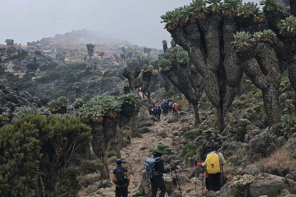 Kilimanjaro anh 3