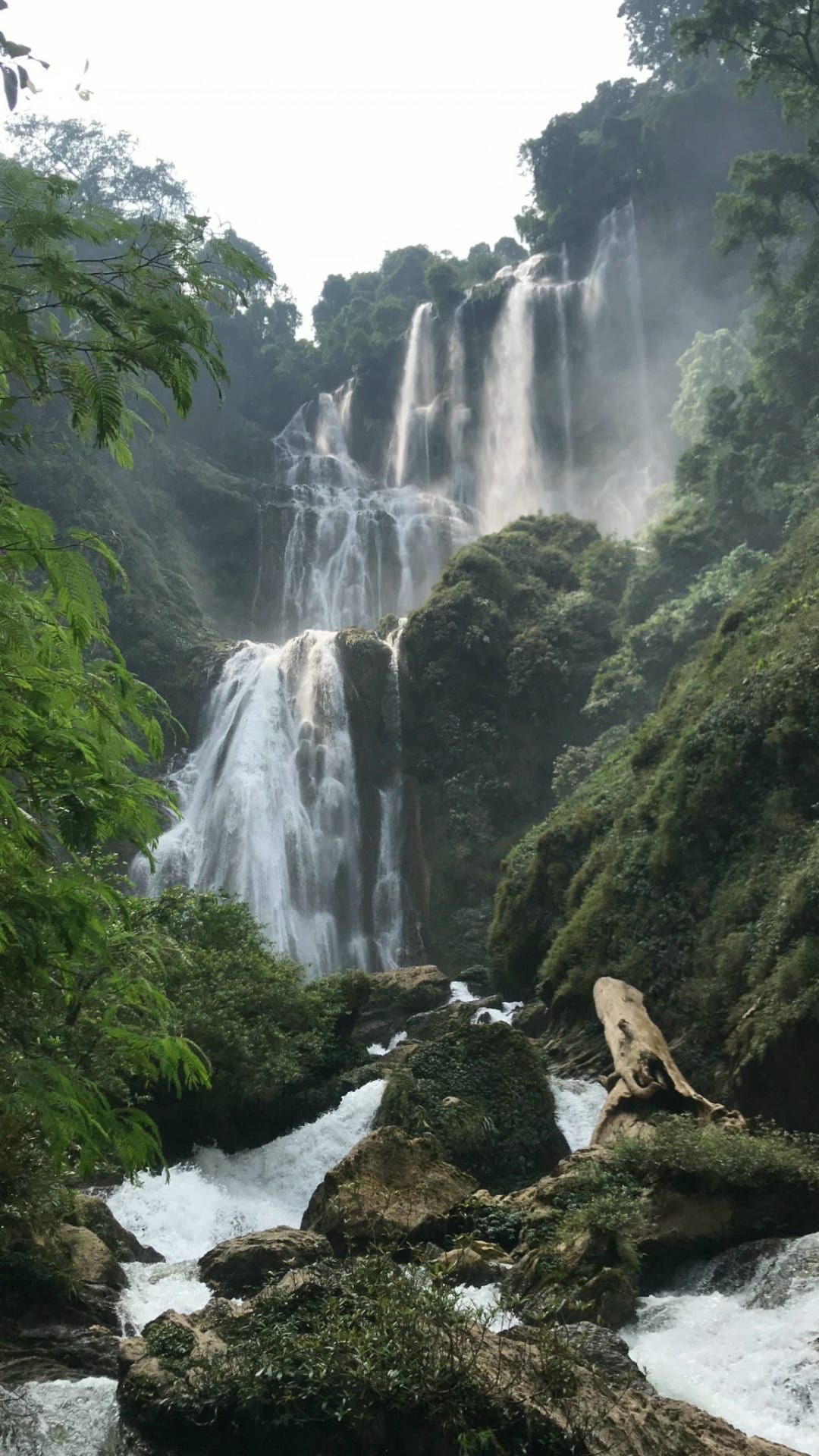 Gel chạy bộ