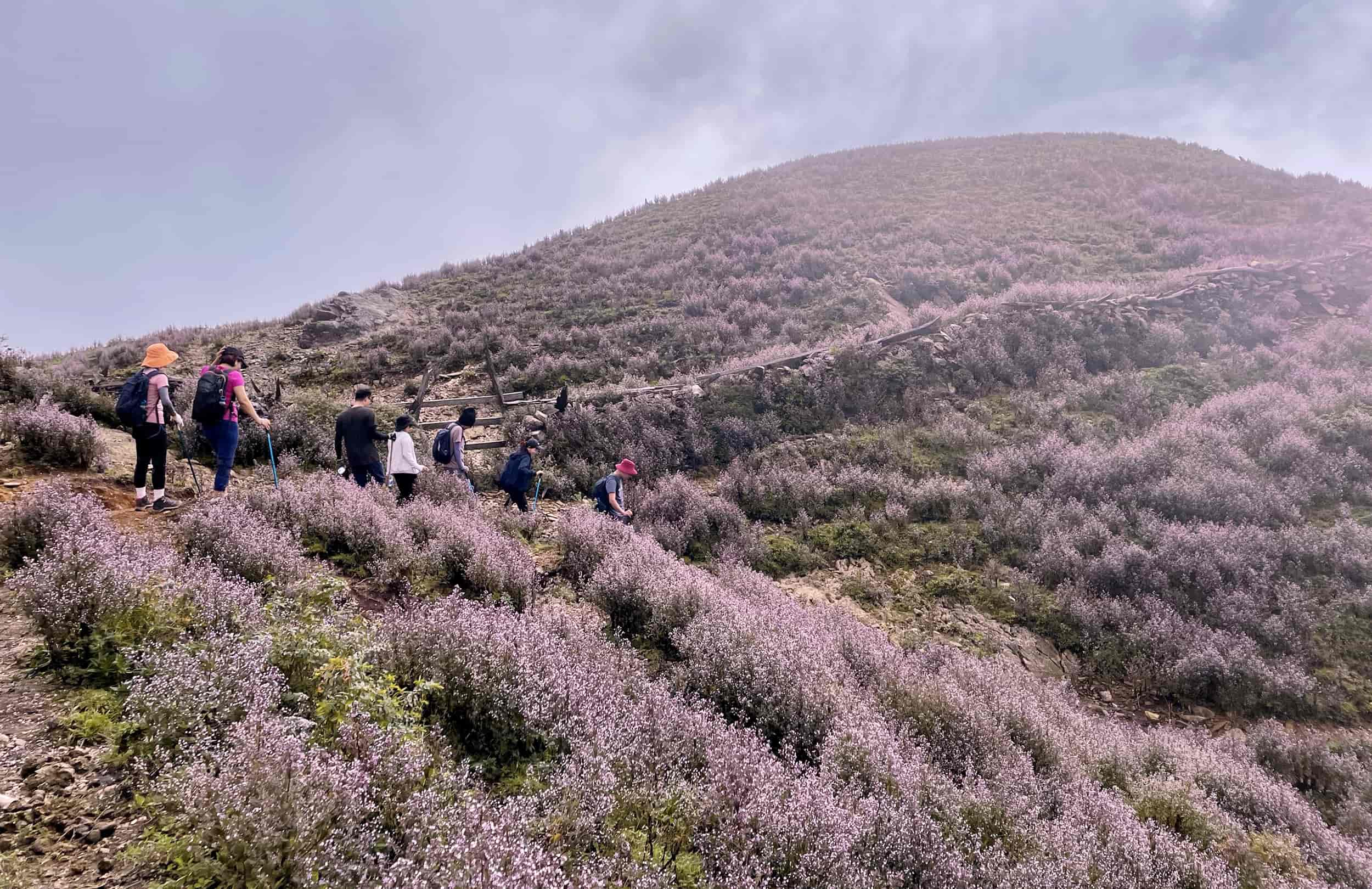 Cung đường trekking Tà Chì Nhù hướng Nậm Nghiệp- Trạm Tấu hấp dẫn