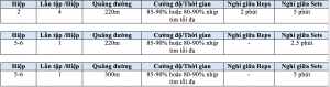 ITR - Phát Triển Hệ Thống Năng Lượng Trong Cơ Thể