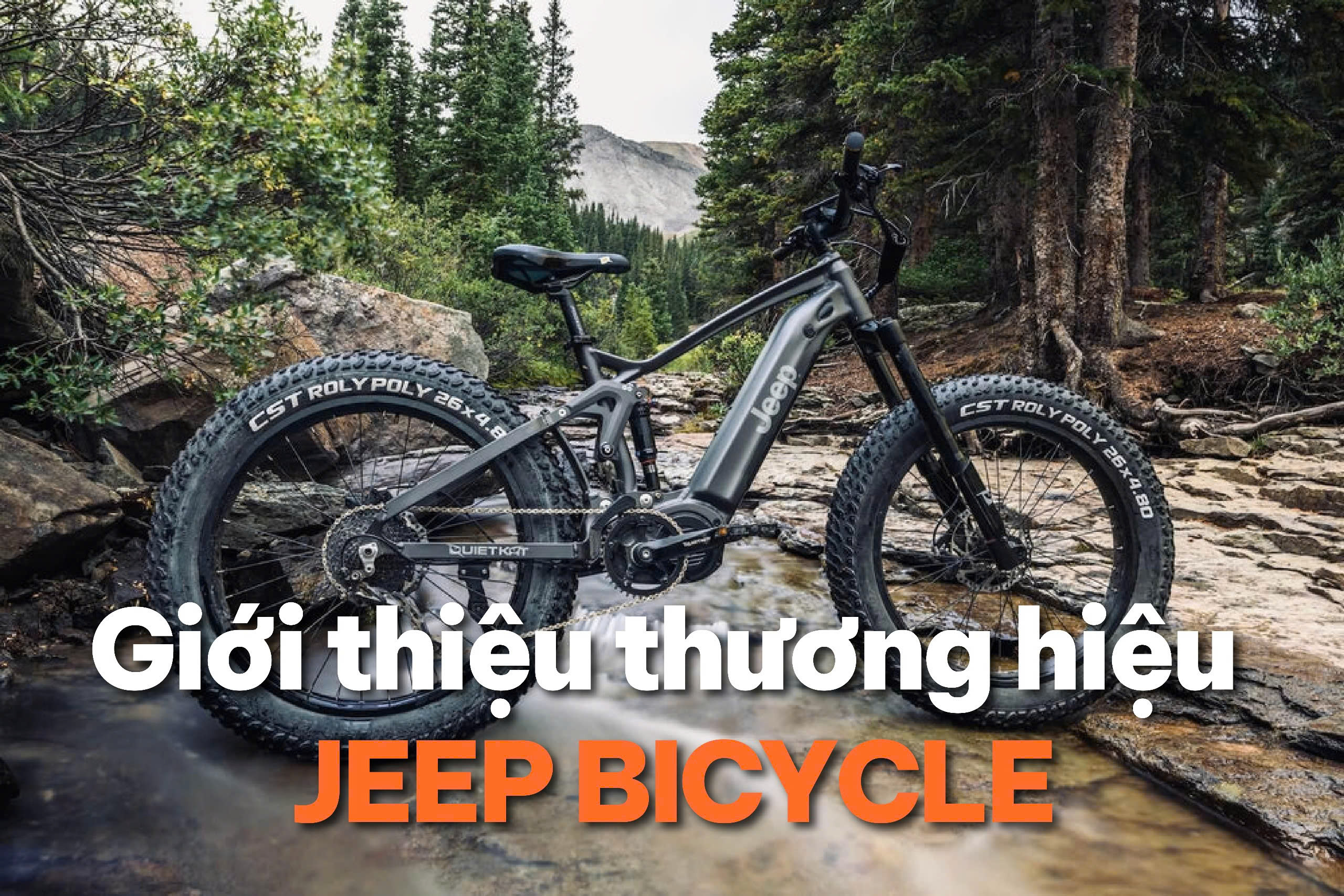 Jeep Bicycle VN