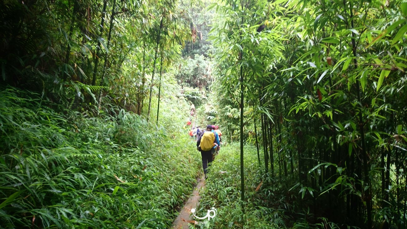 Tour Trekking Đường Đá Cổ Pavie