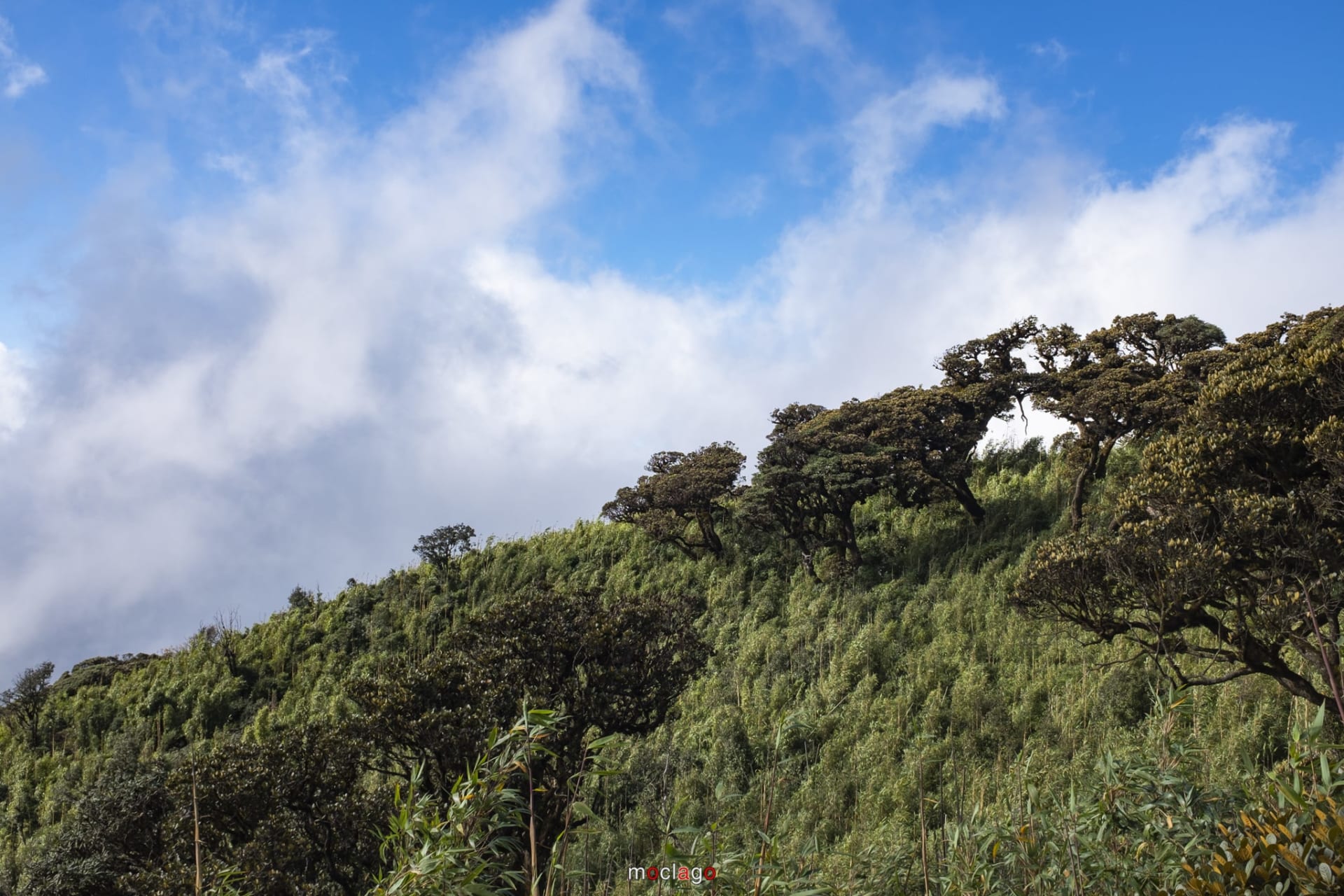 NAM KANG HO TAO - CUNG TREKKING ĐÁNG LEO NHẤT TÂY BẮC 