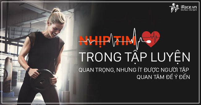 nhip tim trong chay bo