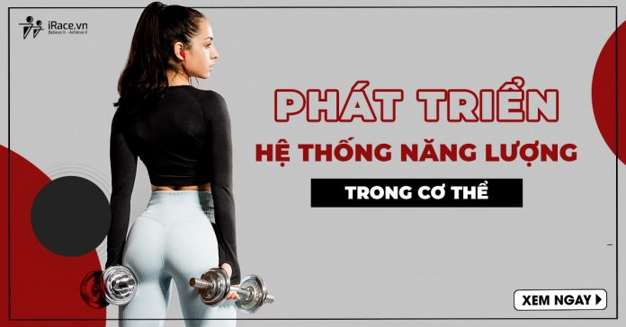 phat trien he thong nang luong trong co the