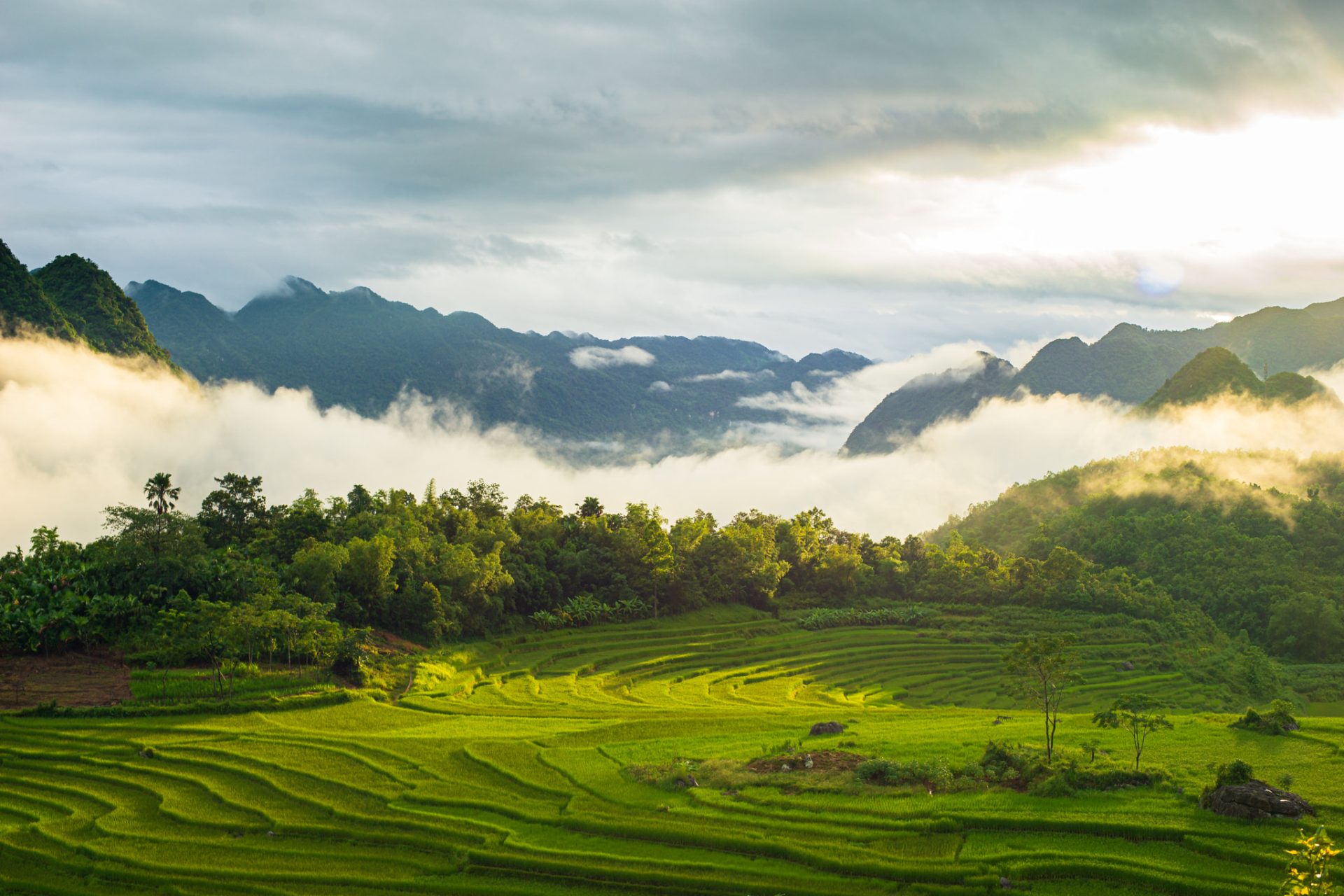 Hiking Pù Luông - Khám phá thiên nhiên hoang sơ