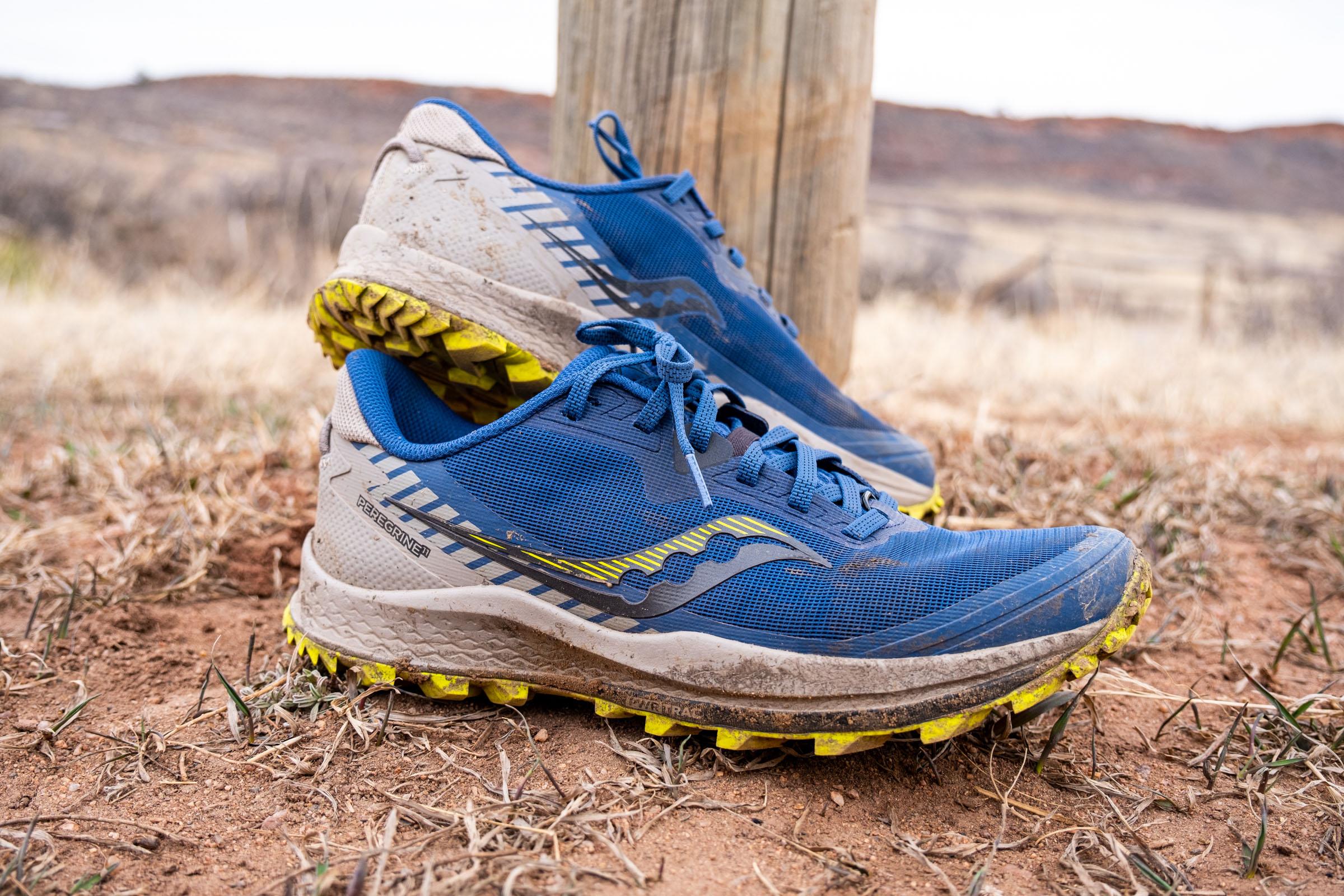 Saucony Peregrine 11 blue and yellow color choice