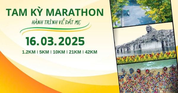 tam-ky-marathon-2025-t3