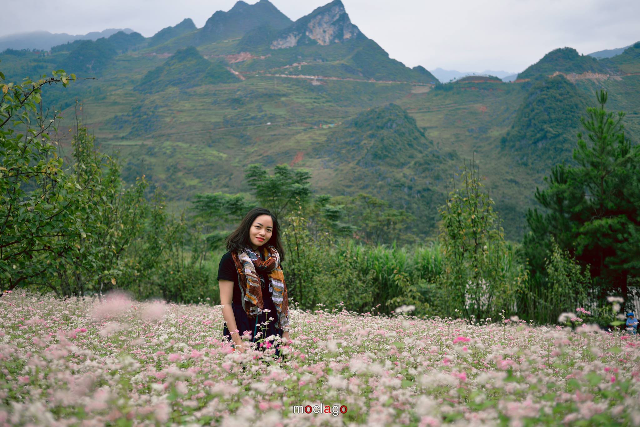 thang-11-va-cai-hen-voi-ha-giang-1264-1