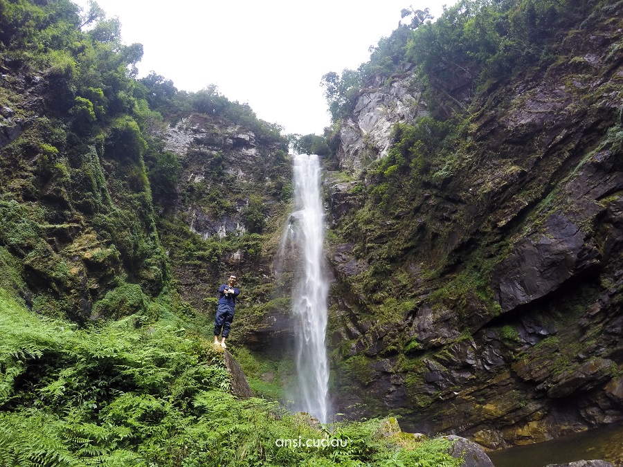 Ngũ Chỉ Sơn